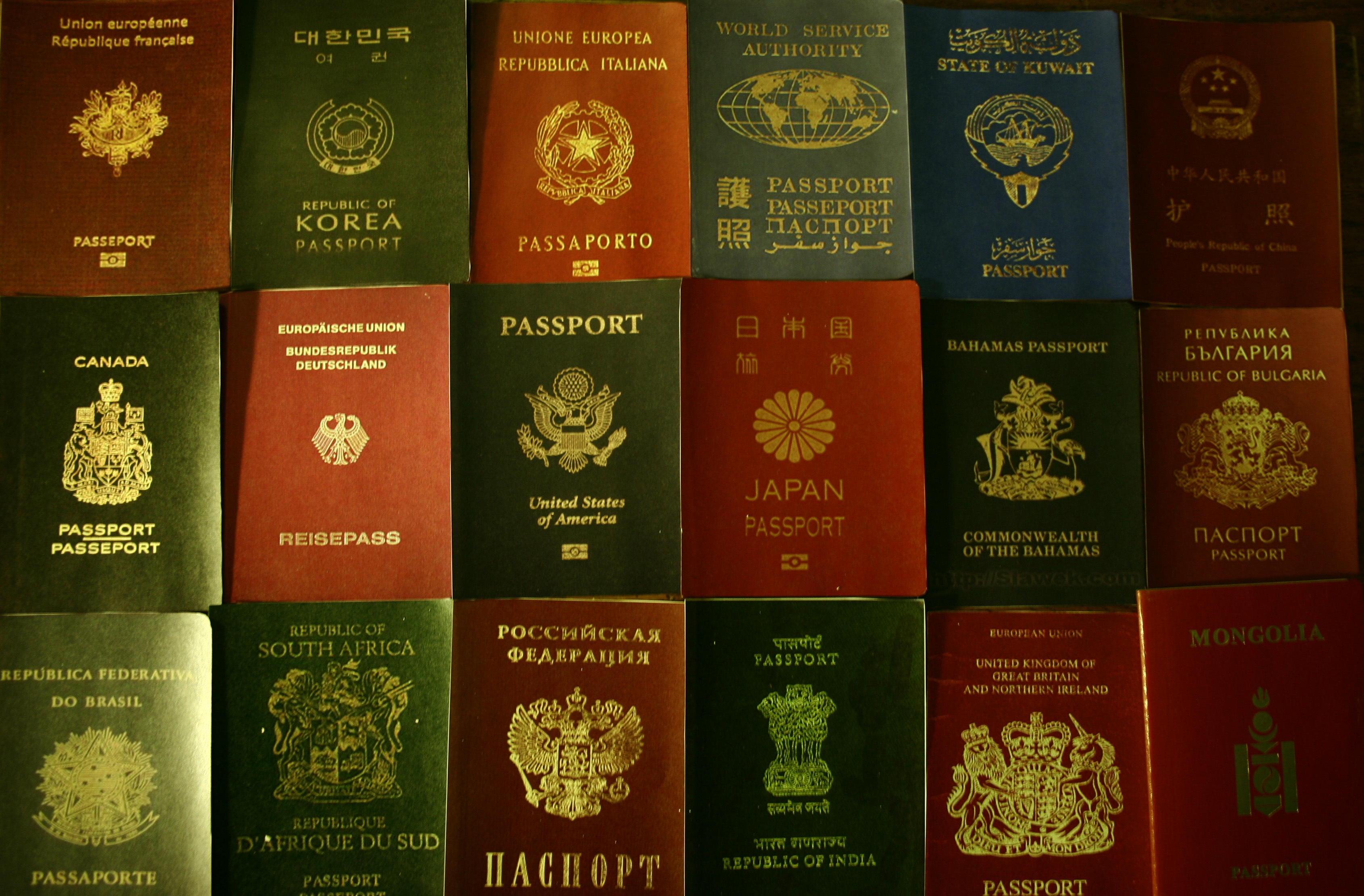 Bahamian passport cover