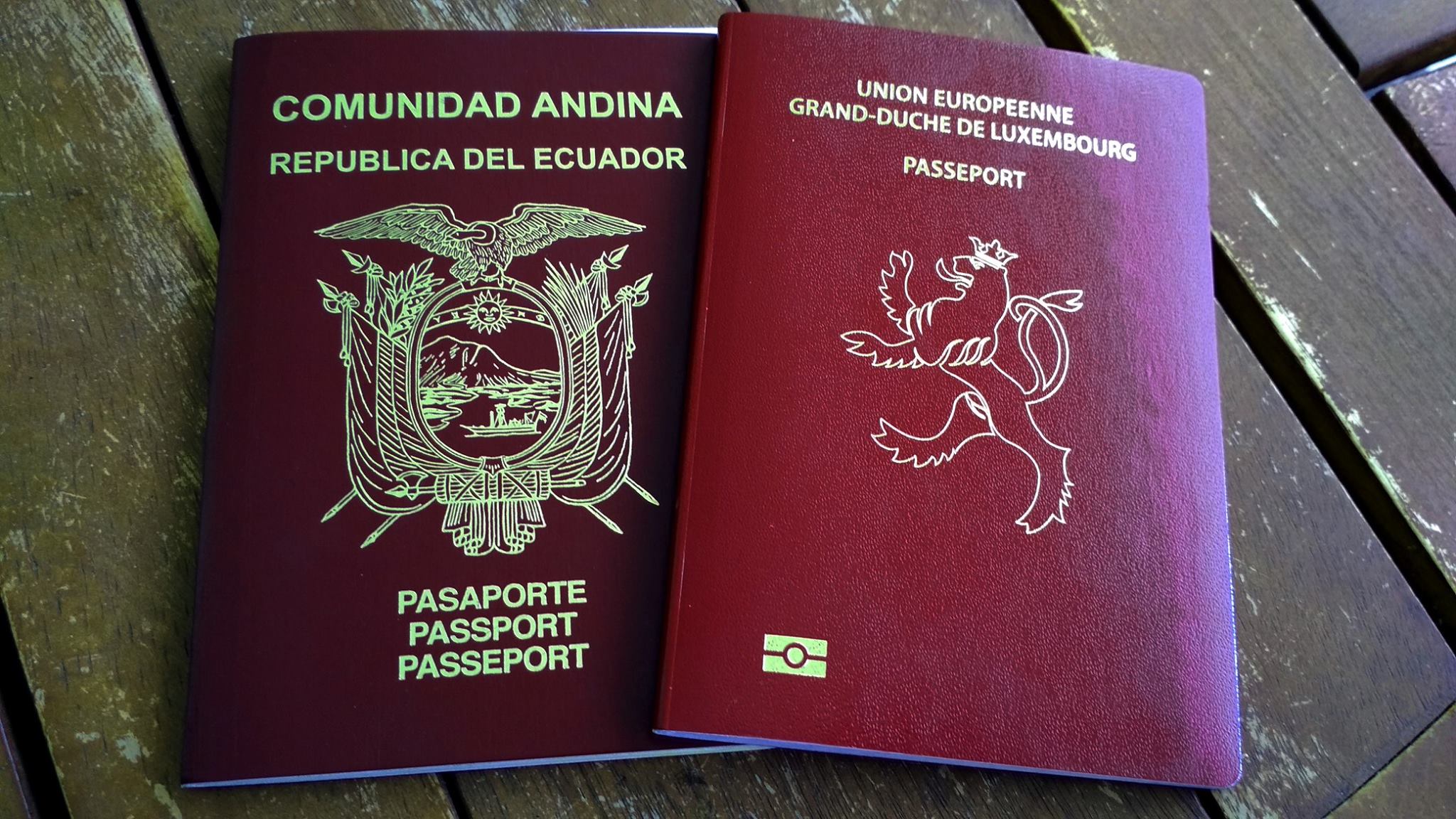 Ecuadorian passport cover