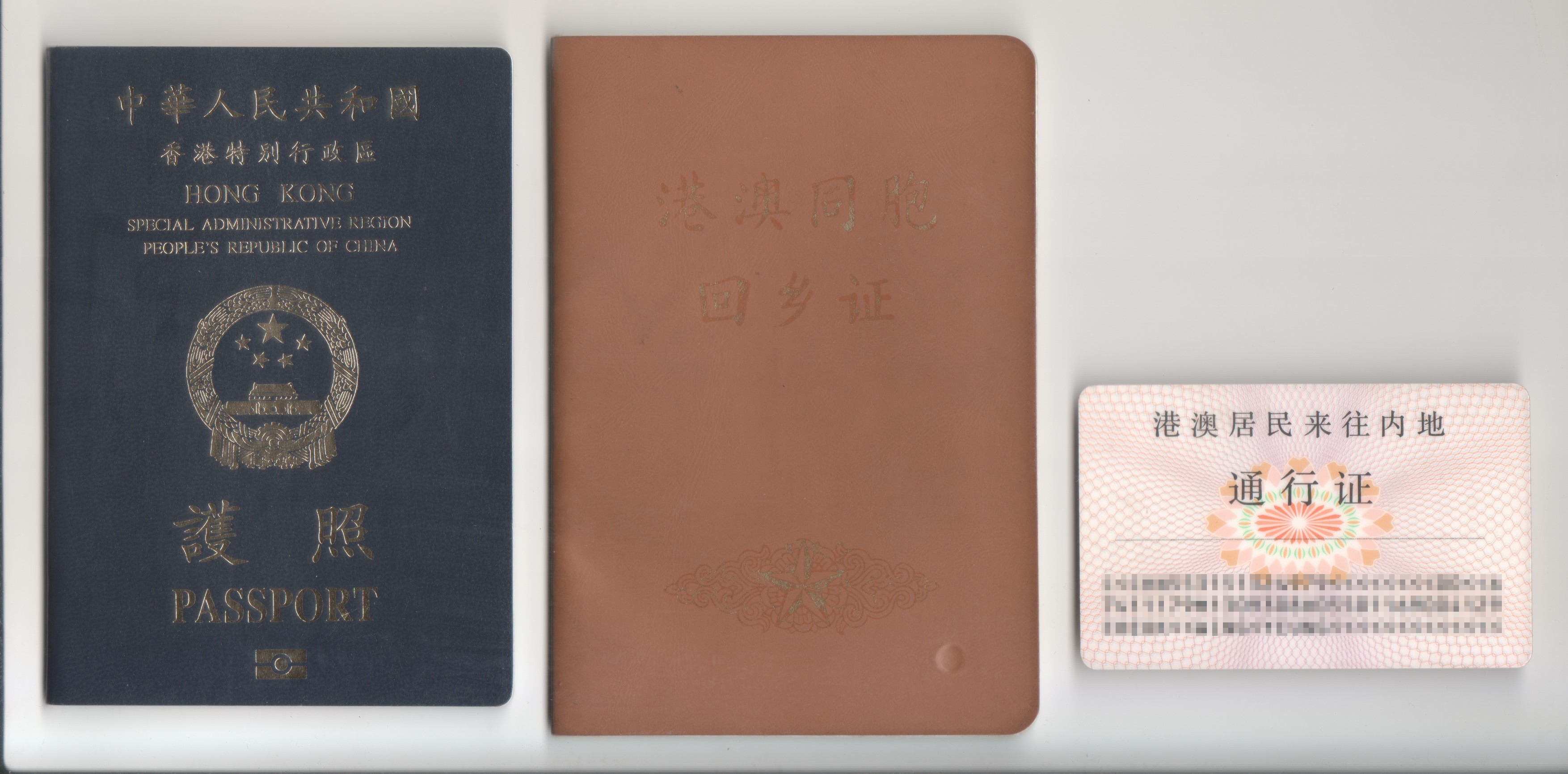 Chinese (HKSAR) passport cover