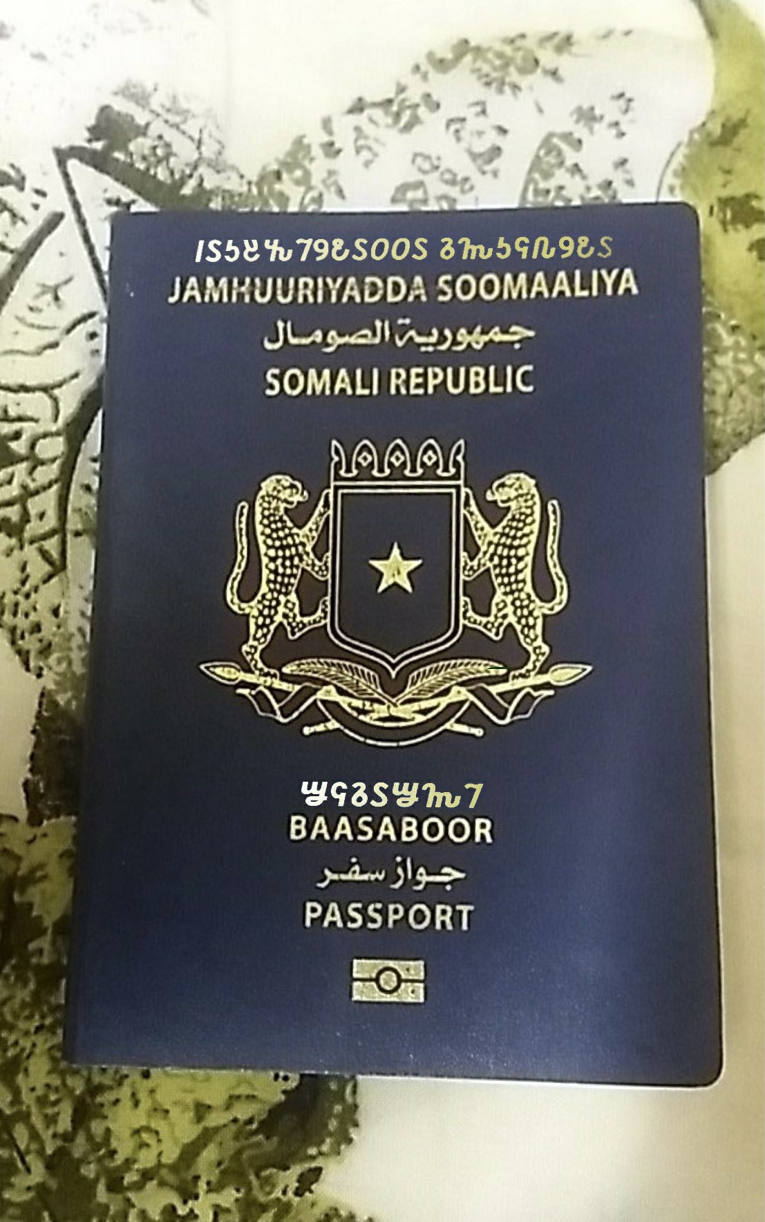 Somali passport cover