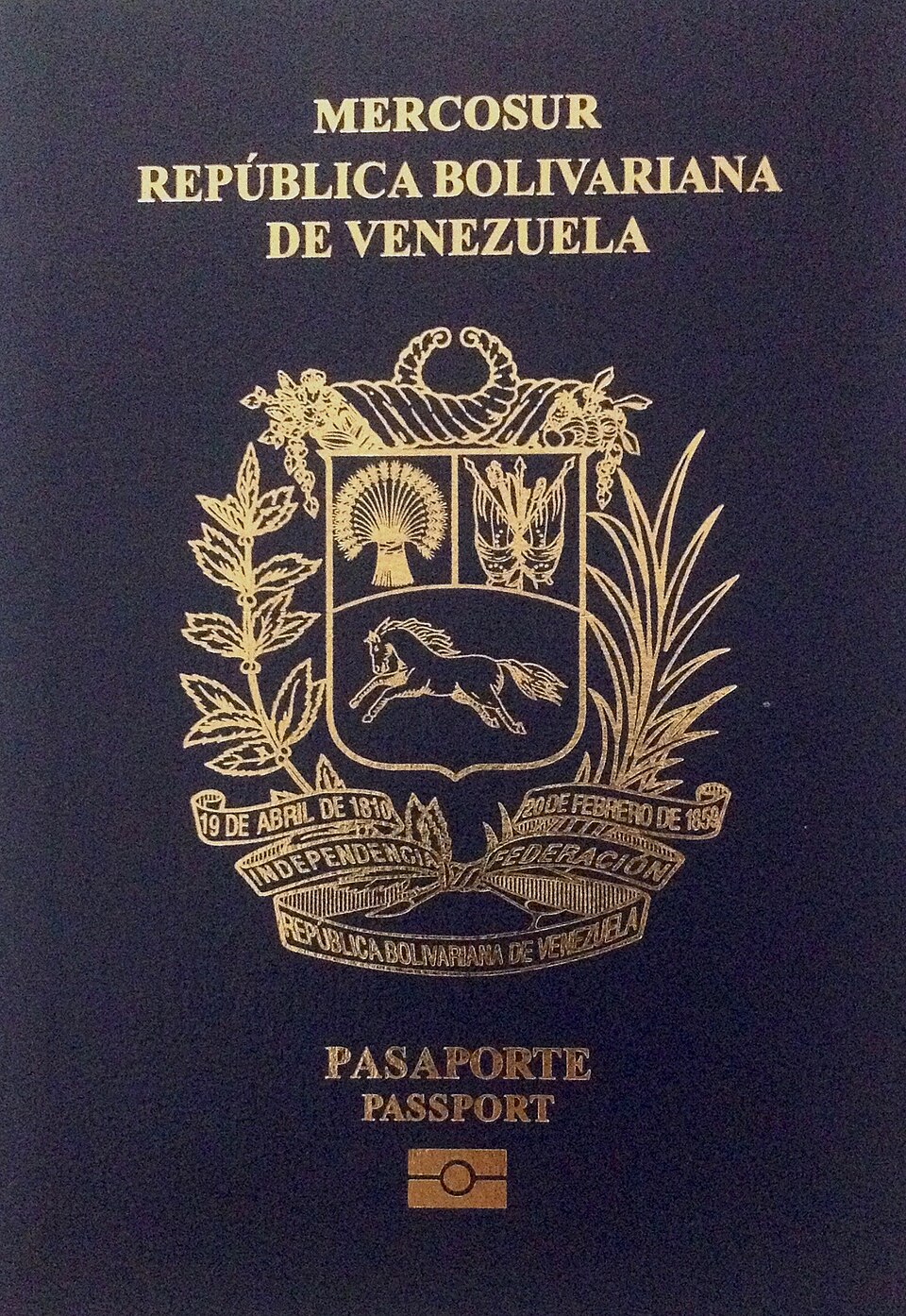 Venezuelan passport cover